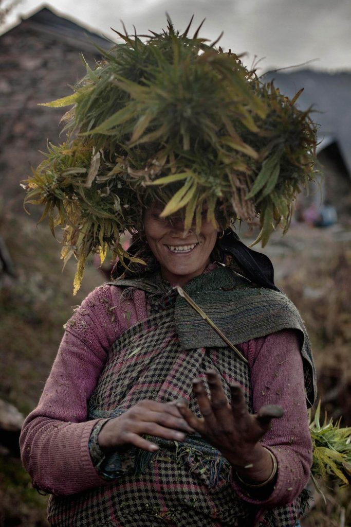 Mulher local carrega pacote de Ganja em sua cabeça enquanto puxa resina de suas mãos. - Fotografia Andrea de Franciscis