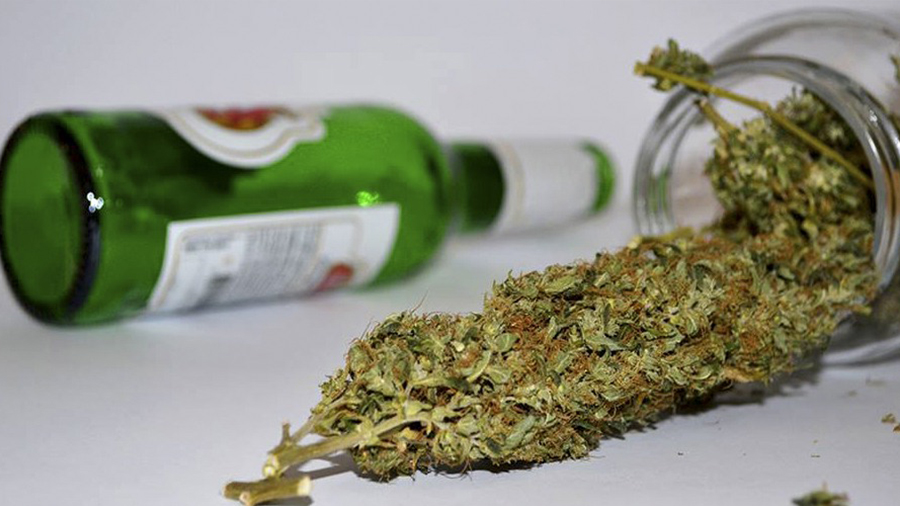 maconha 114 vezes mais segura alcool smoke buddies Maconha é 114 vezes mais segura que o álcool, revela estudo