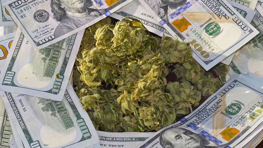 um ano maconha legalizada gerou 219 milhoes impostos smoke buddies Nova York espera US$ 1,25 bi em impostos sobre cannabis nos primeiros cinco anos
