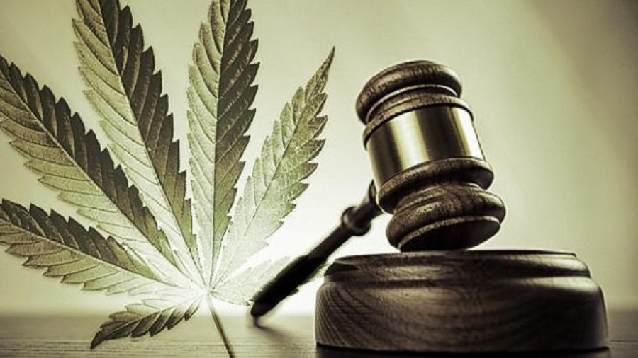 cannabis justica Justiça arquiva processo por considerar uso de drogas questão de vida privada