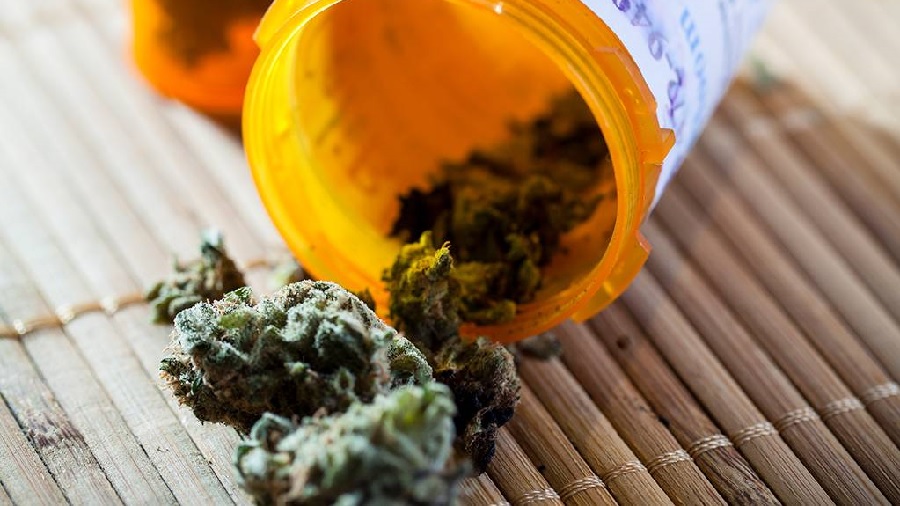 remedio Doutora responde: posso usar cannabis medicinal com remédios controlados?