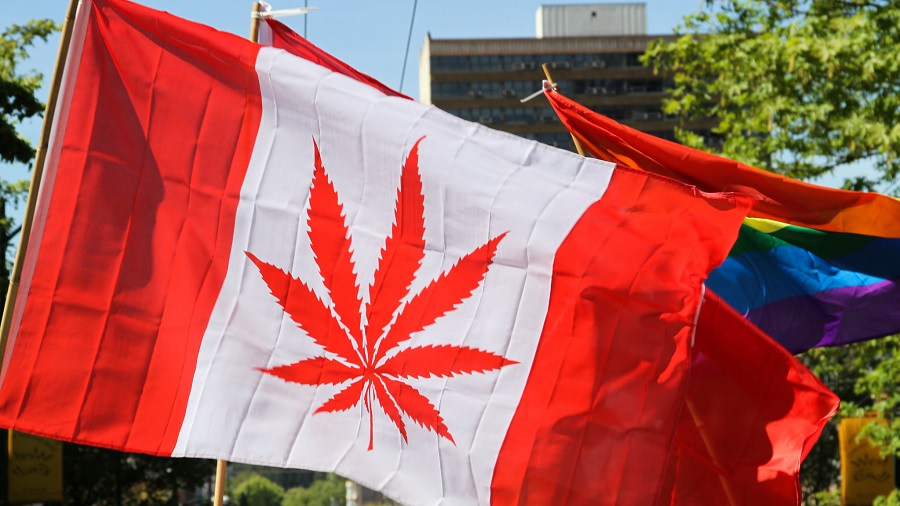 bandeira canada folha Estudo mostra redução de crimes relacionados à cannabis entre jovens após legalização no Canadá