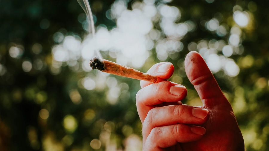 mao baseado Louisiana (EUA) legaliza maconha medicinal para fumar