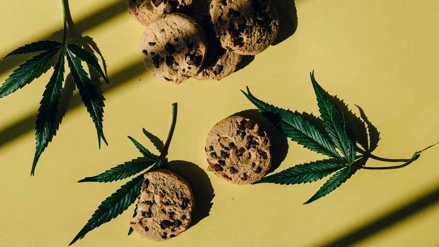 cookies folhas Uruguai deve permitir alimentos derivados de cannabis