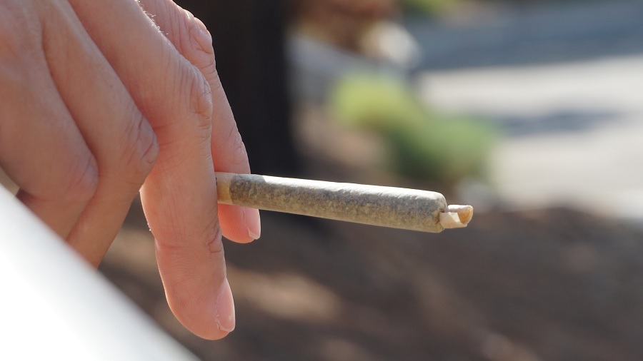 mao baseado olofsson Detenções relacionadas à cannabis caem 90% em Richmond (EUA) após a legalização