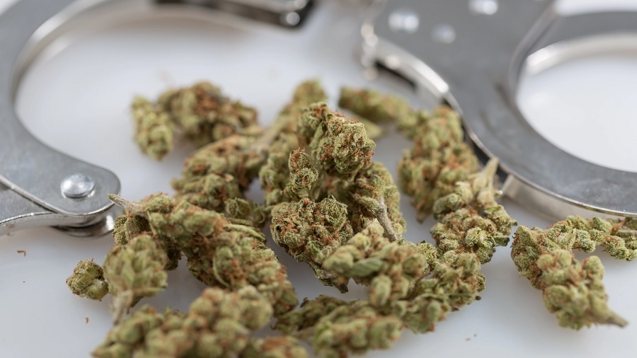 buds algemas De volta para a guerra às drogas? Lei da cannabis de Nova Jersey financia métodos policiais controversos