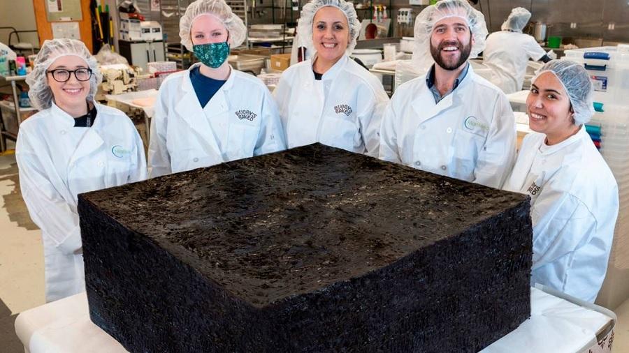 brownie gigante Empresa nos EUA produz brownie de maconha com 385 quilos