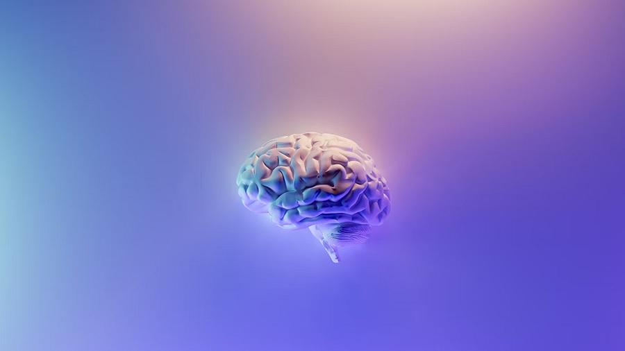 cerebro Canabinol protege células cerebrais do envelhecimento, diz estudo